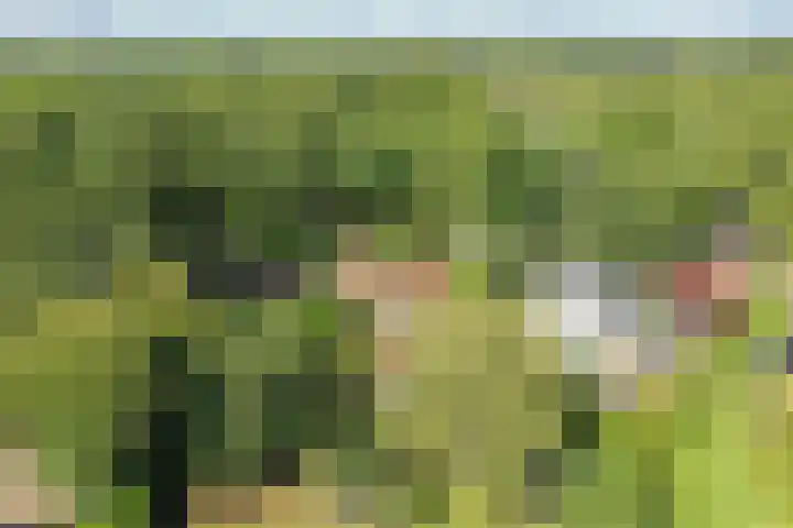 Bartolottilaan 41 Soest thumbnail 22