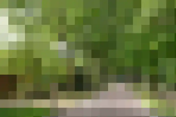 Bartolottilaan 41 Soest thumbnail 4