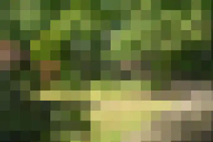 Bartolottilaan 41 Soest thumbnail 6