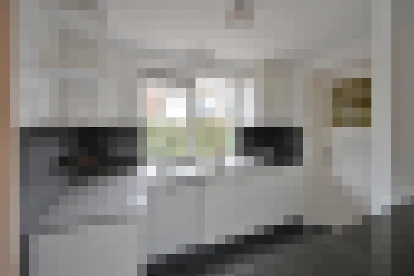 Bartolottilaan 51 Soest thumbnail 15