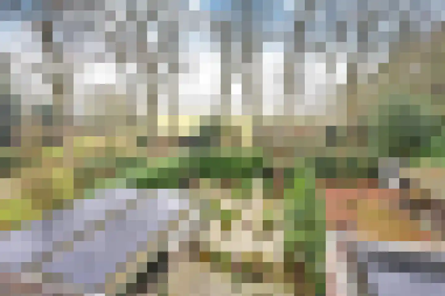 Bartolottilaan 51 Soest thumbnail 16