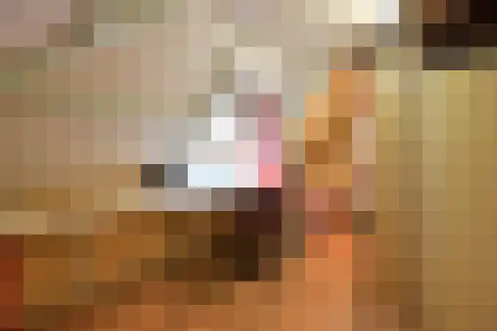 Bartolottilaan 51 Soest thumbnail 24