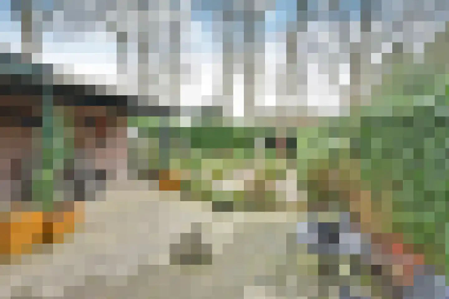 Bartolottilaan 51 Soest thumbnail 4