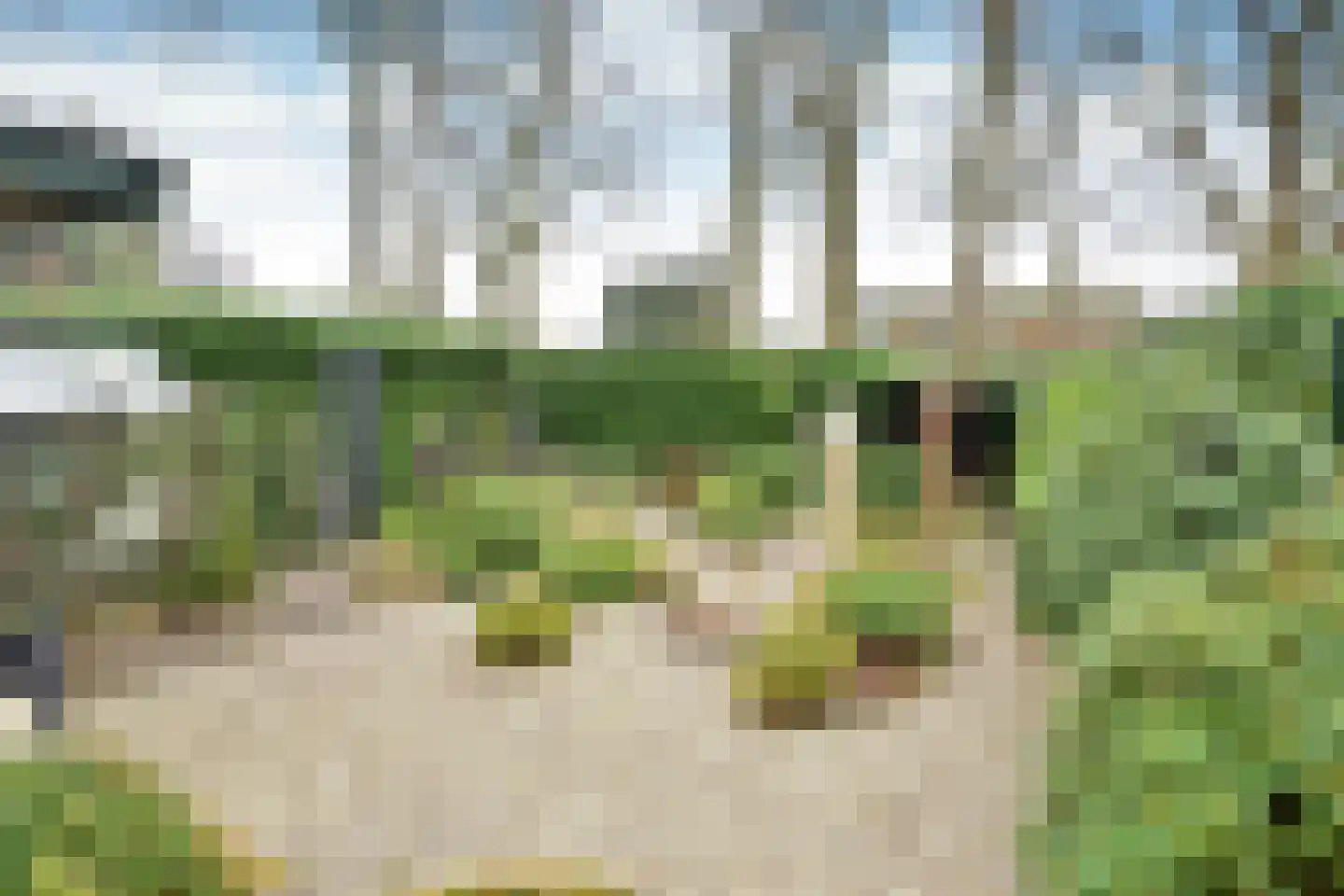 Bartolottilaan 51 Soest thumbnail 6