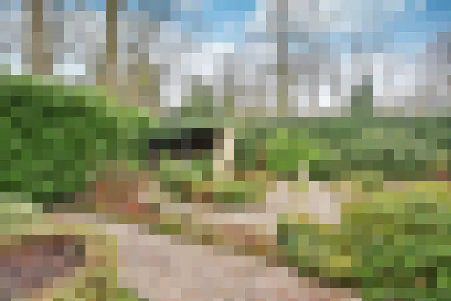 Bartolottilaan 51 Soest thumbnail 7