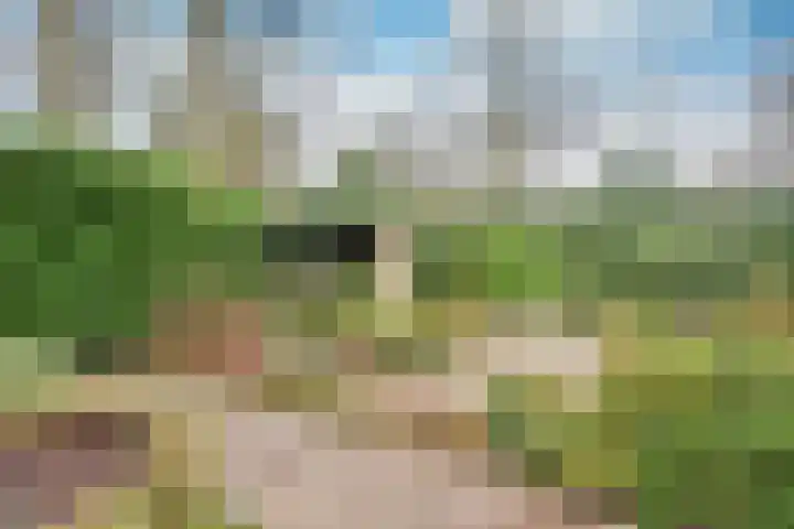 Bartolottilaan 51 Soest thumbnail 7