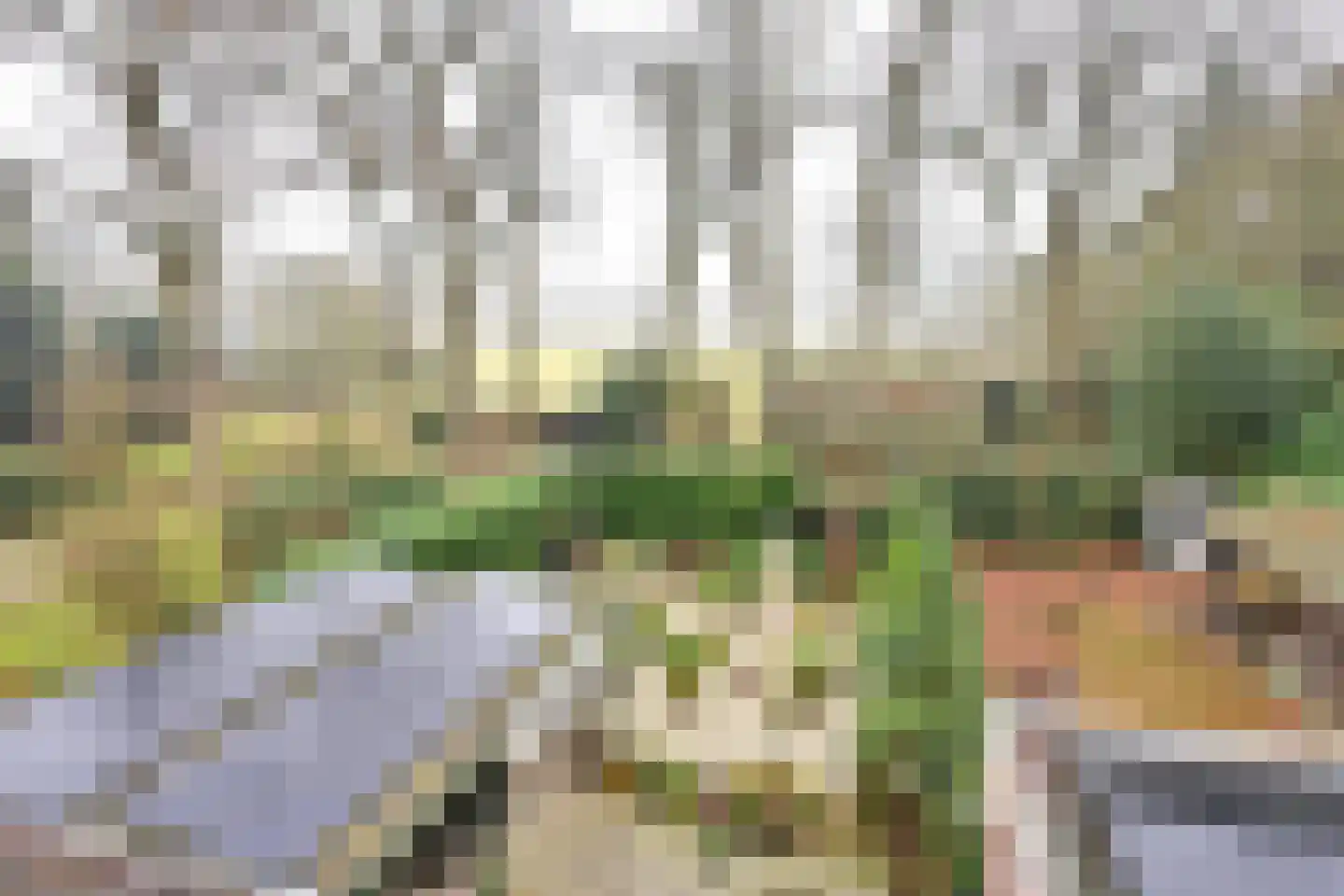 Bartolottilaan 51 Soest thumbnail 9