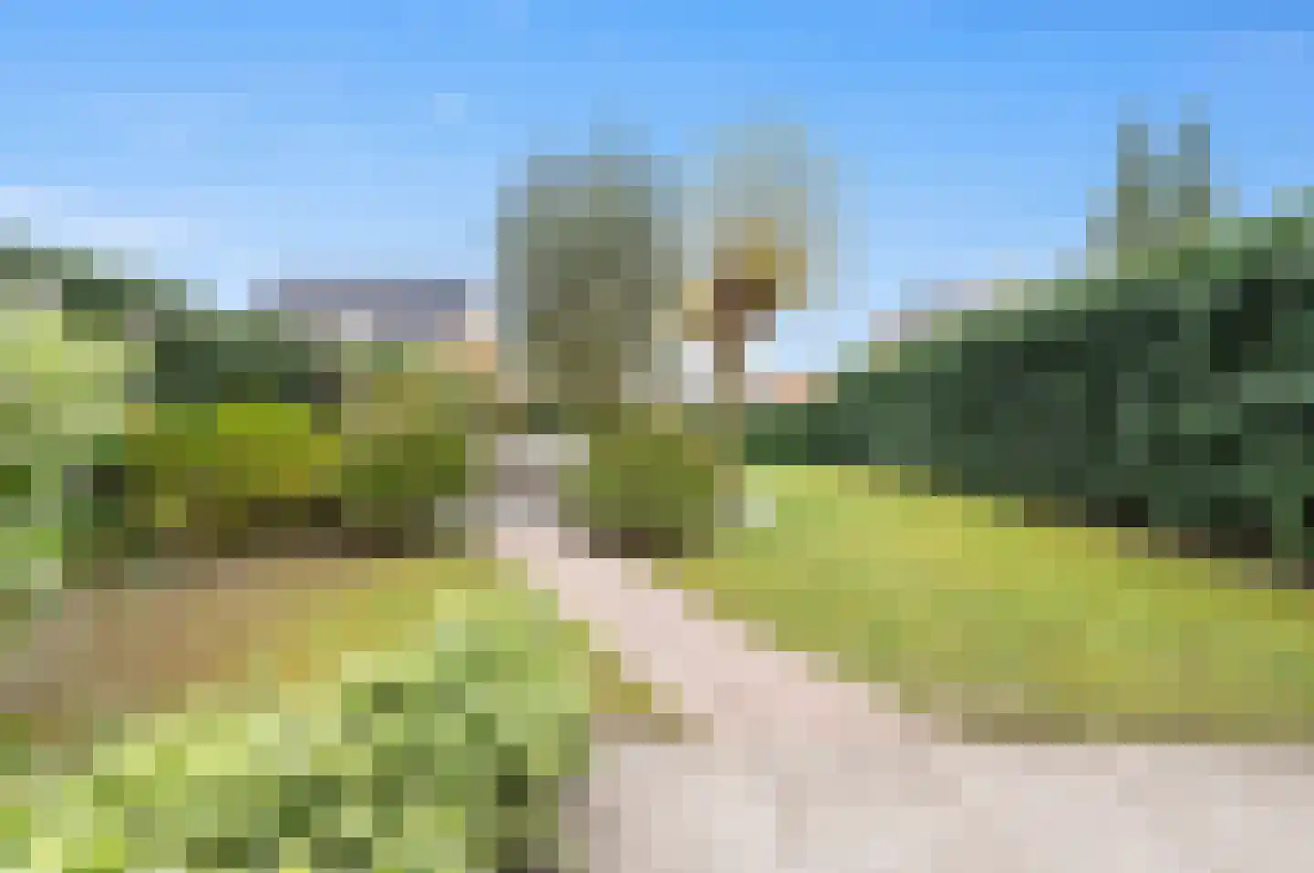 Bartoutszate 34 Delft thumbnail 10