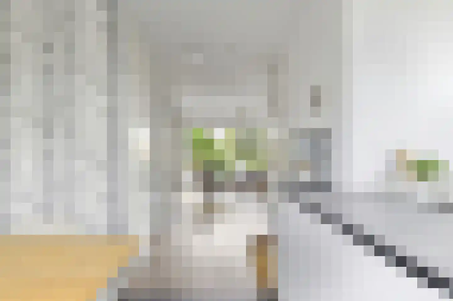 Bartoutszate 34 Delft thumbnail 24