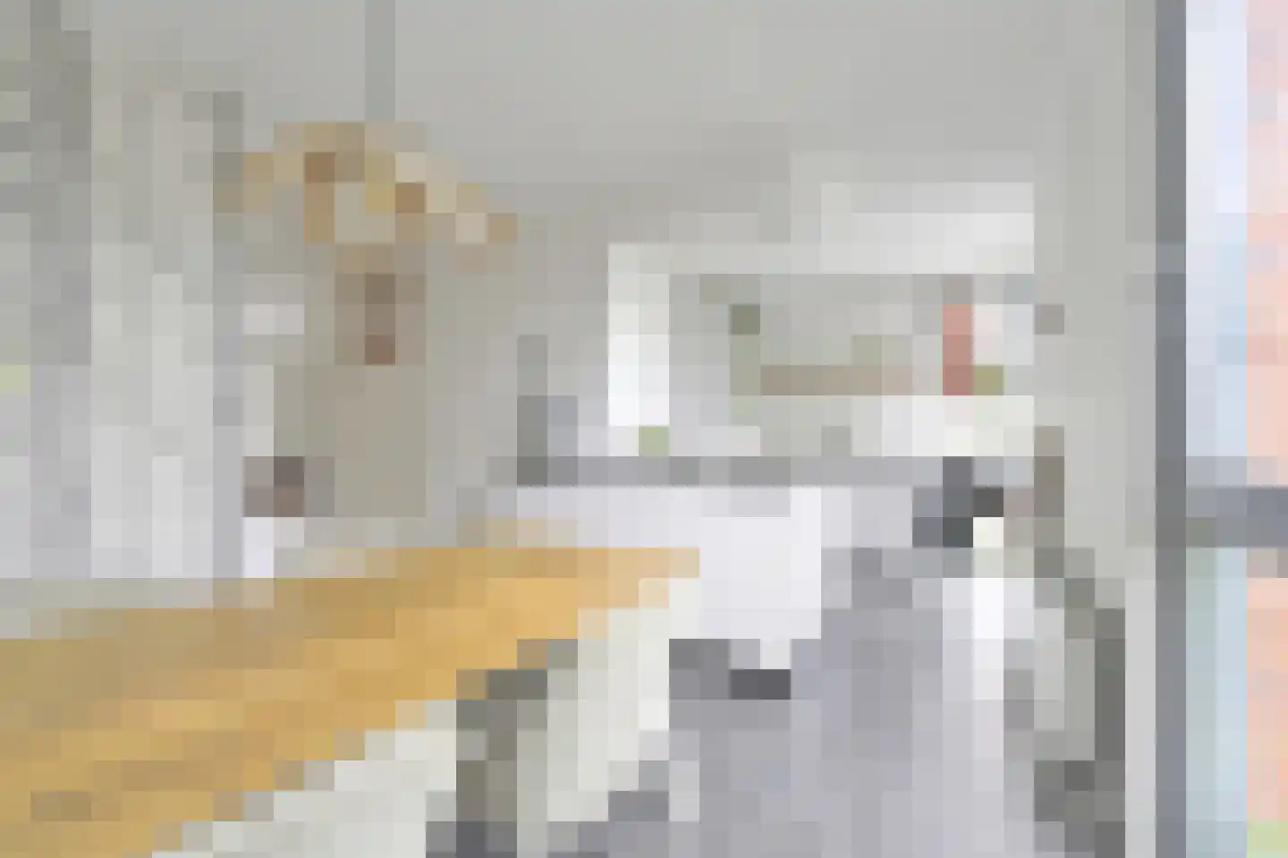Bartoutszate 34 Delft thumbnail 25