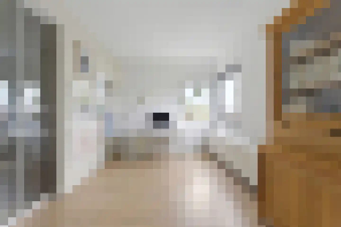 Bartoutszate 34 Delft thumbnail 41