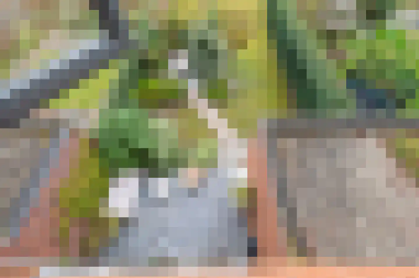 Bartoutszate 34 Delft thumbnail 48