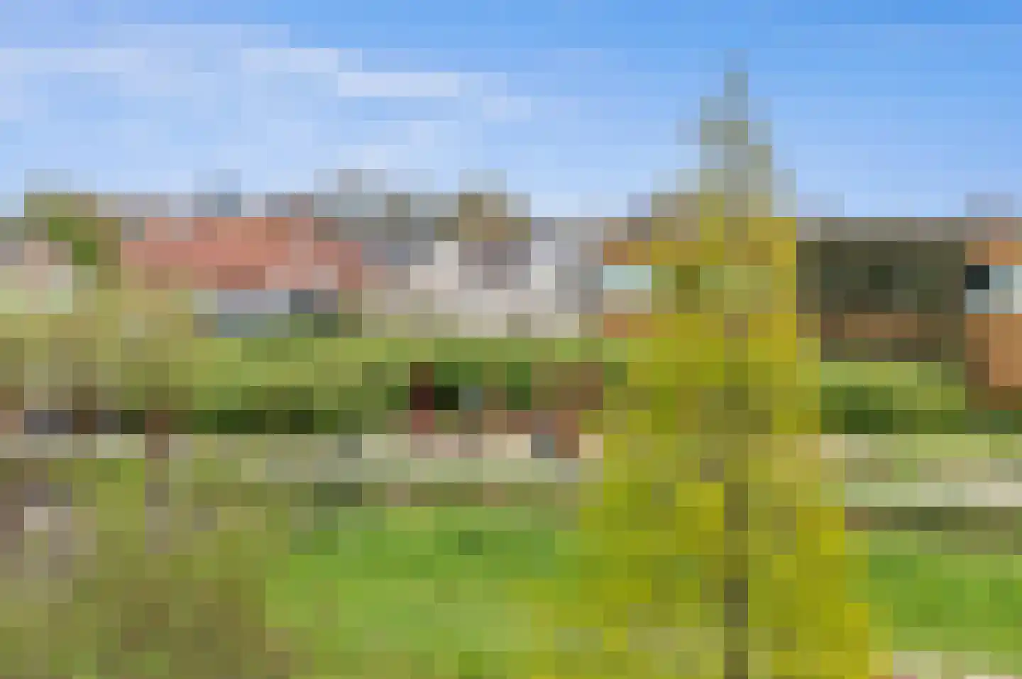Bartoutszate 34 Delft thumbnail 54