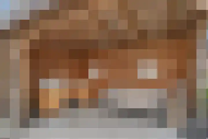 Bartoutszate 38 Delft thumbnail 14