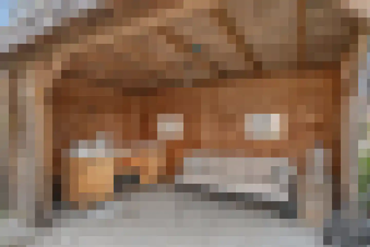Bartoutszate 38 Delft thumbnail 14