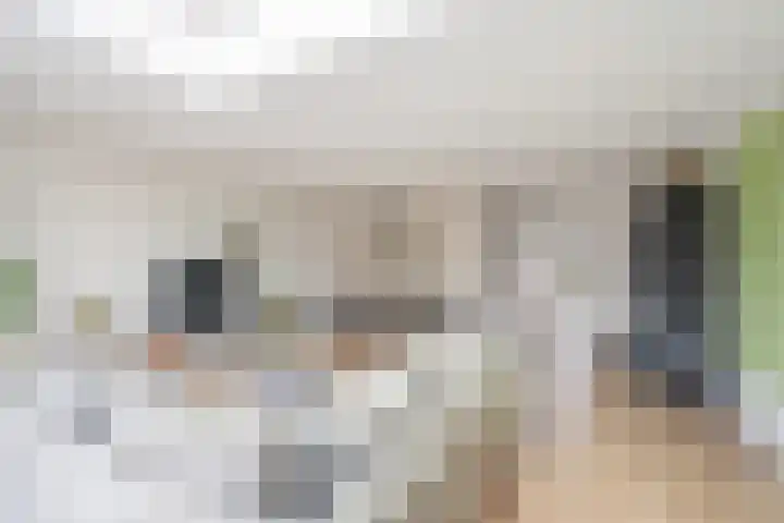Bartoutszate 38 Delft thumbnail 18