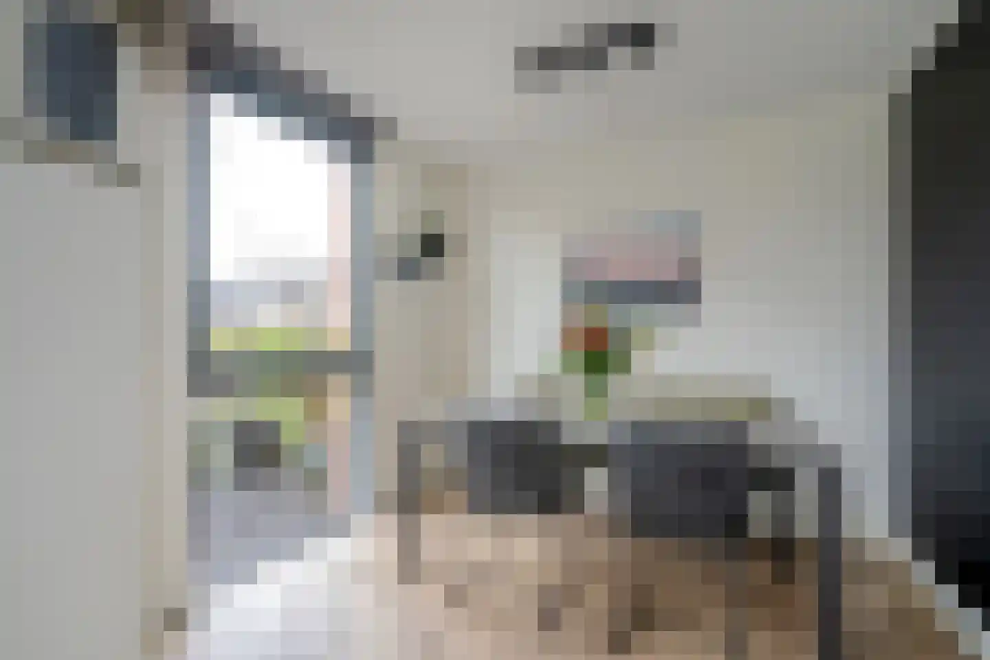 Bartoutszate 38 Delft thumbnail 26