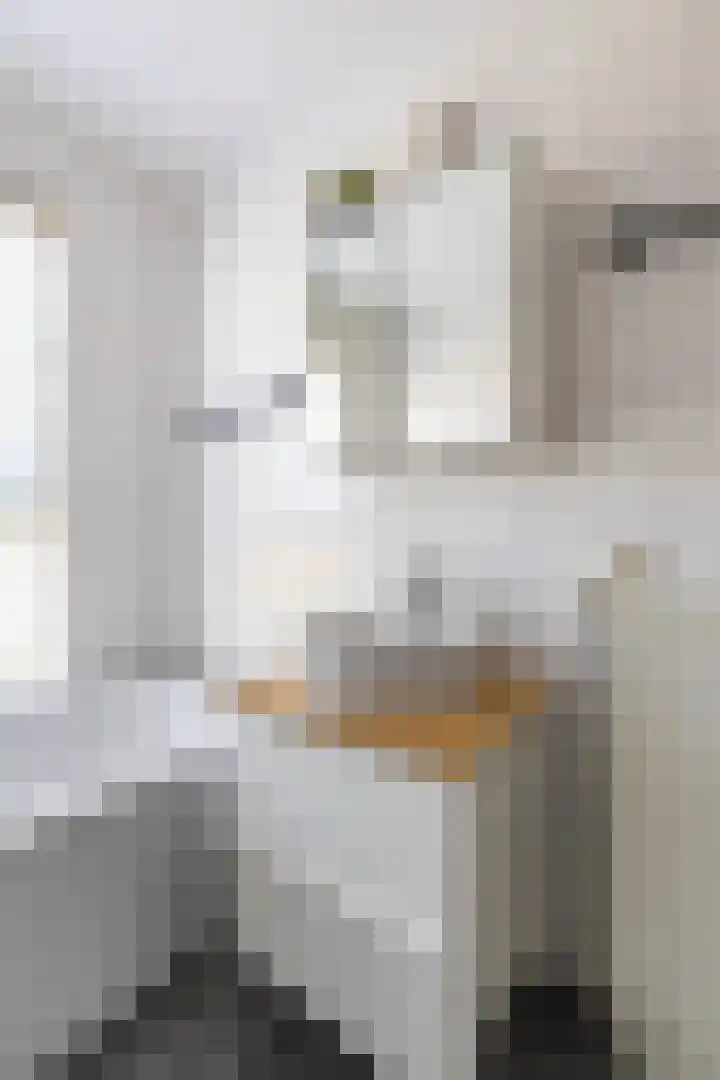 Barwerd 15 Groningen thumbnail 23