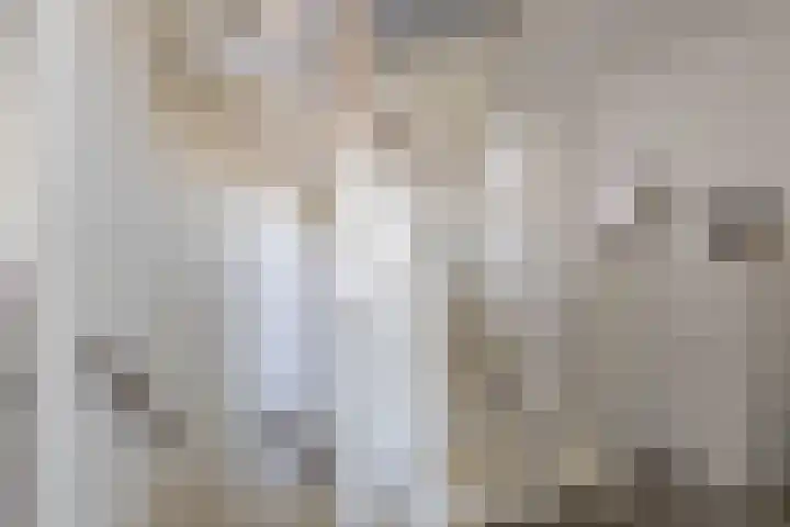 Barwerd 15 Groningen thumbnail 26