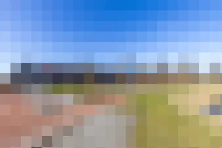 Barwerd 15 Groningen thumbnail 38