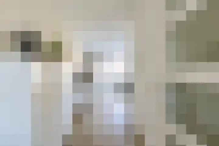 Barwerd 15 Groningen thumbnail 6