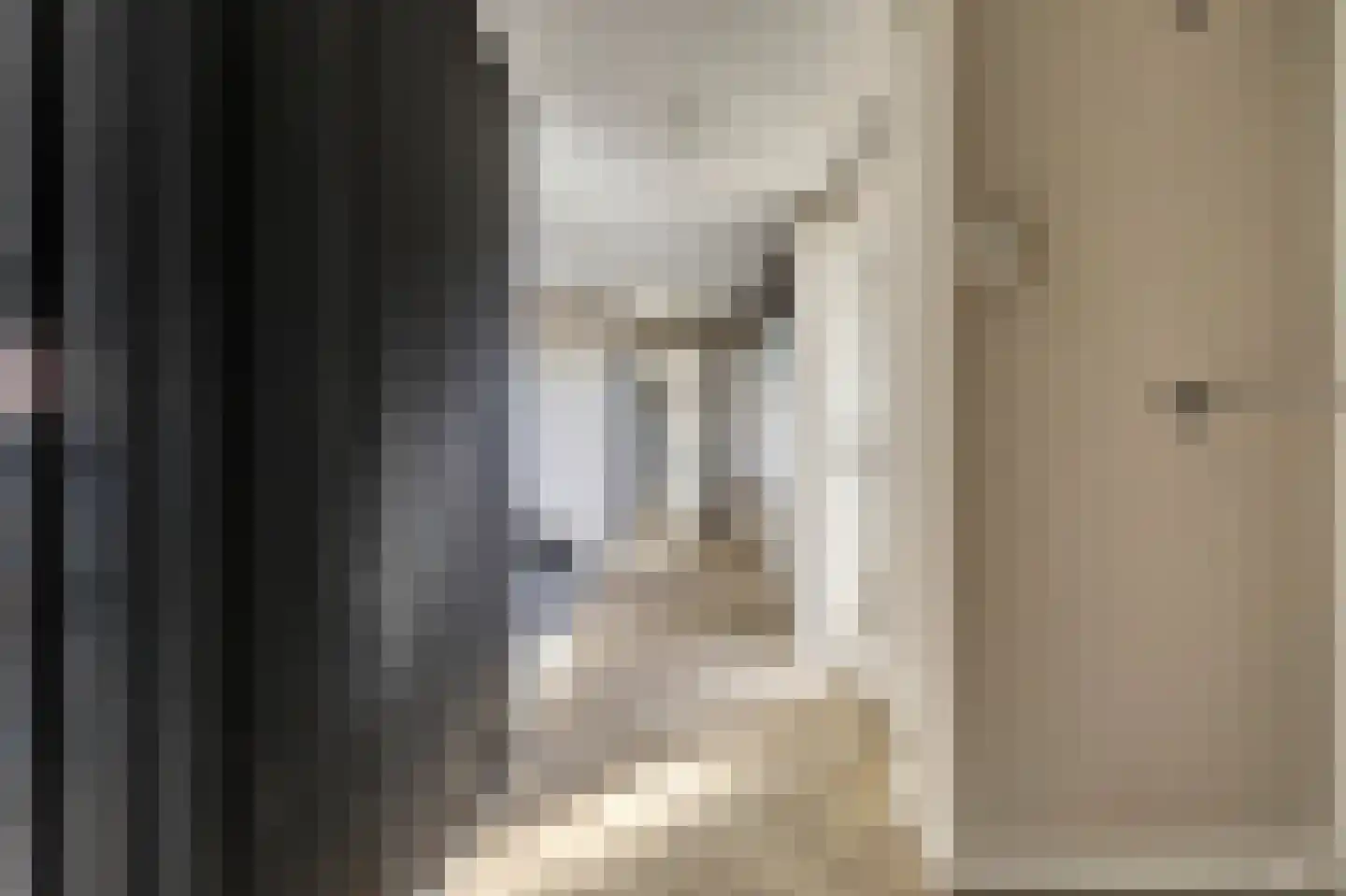 Barwoutswaarder 166 A Woerden thumbnail 11
