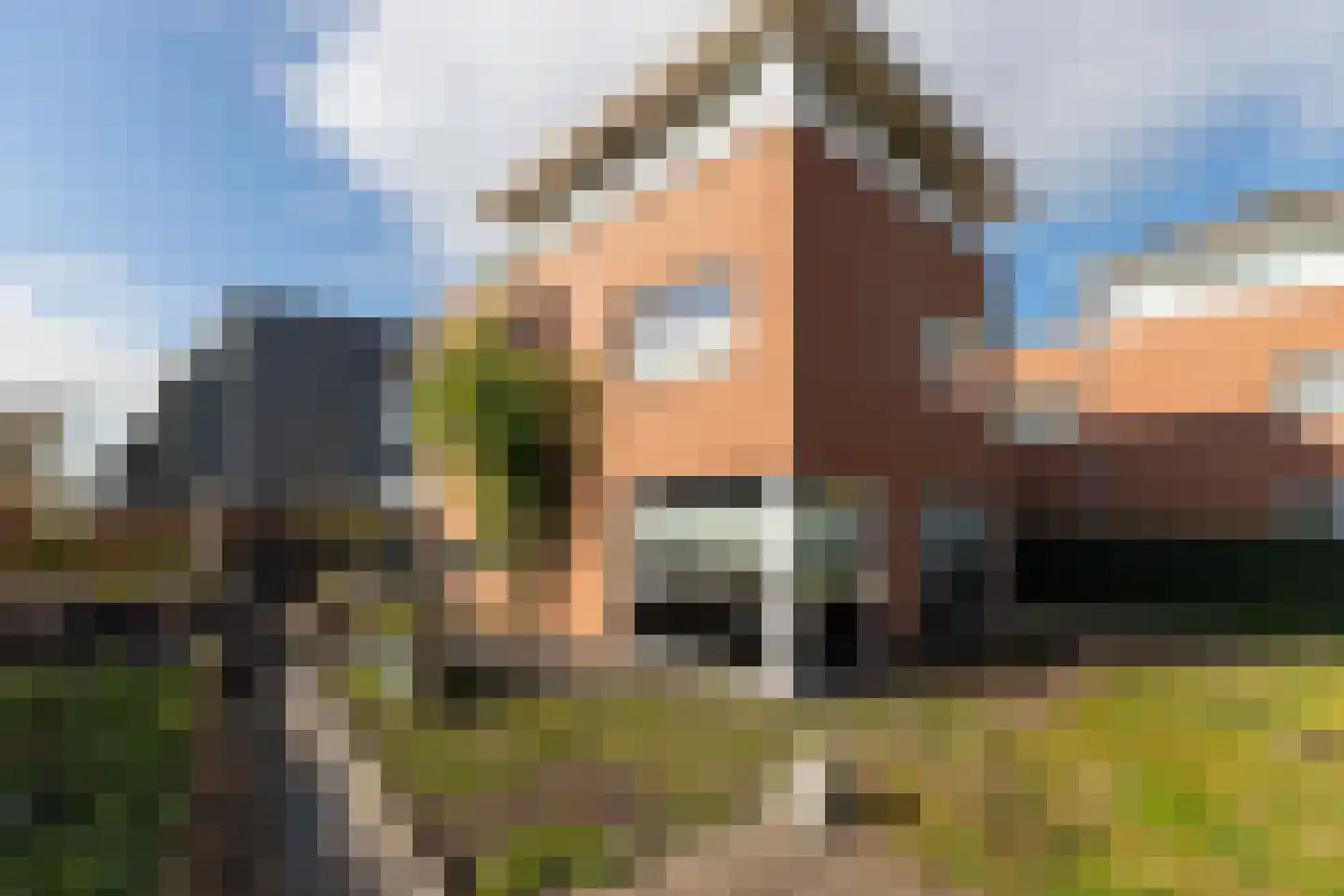 Barwoutswaarder 17 A Woerden thumbnail 4