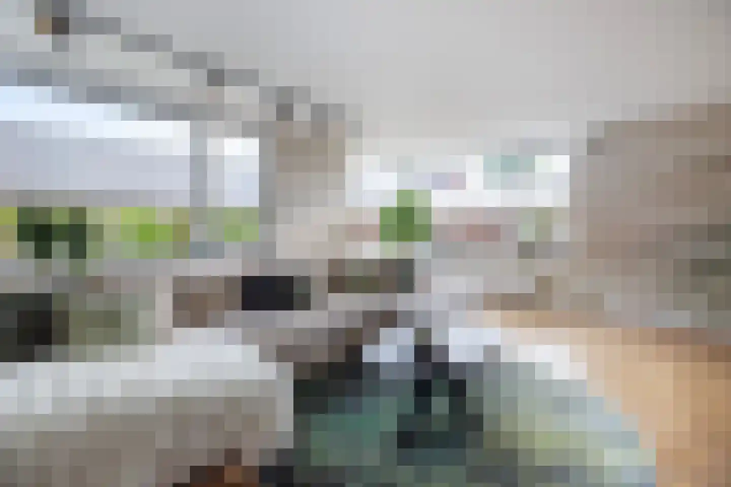 Barwoutswaarder 17 A Woerden thumbnail 6