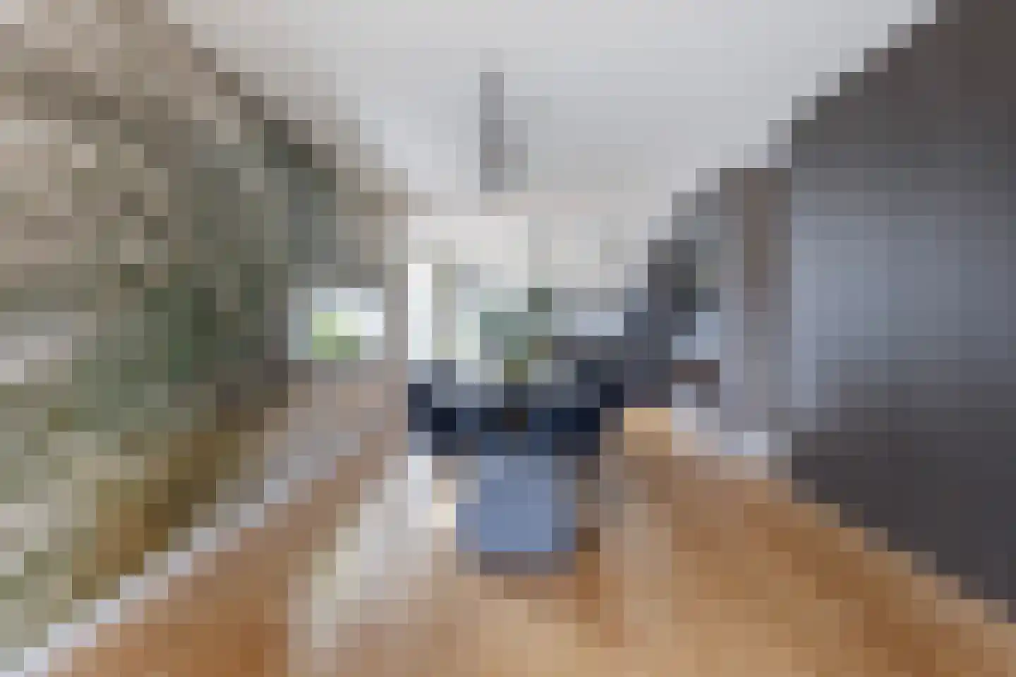 Barwoutswaarder 17 A Woerden thumbnail 8
