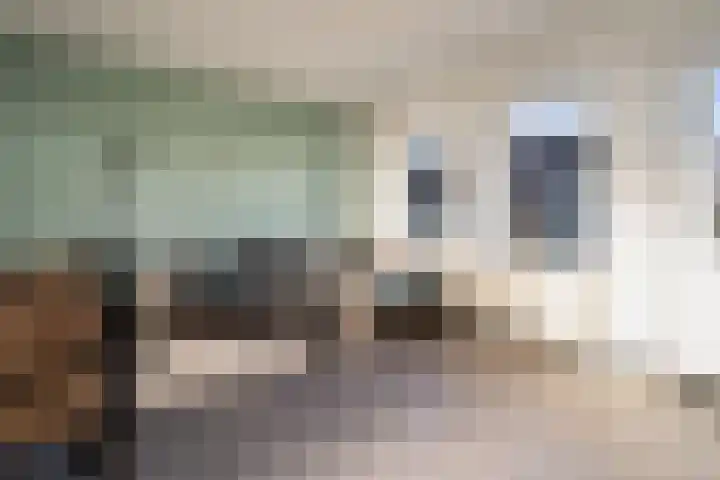 Barwoutswaarder 24 Woerden thumbnail 10