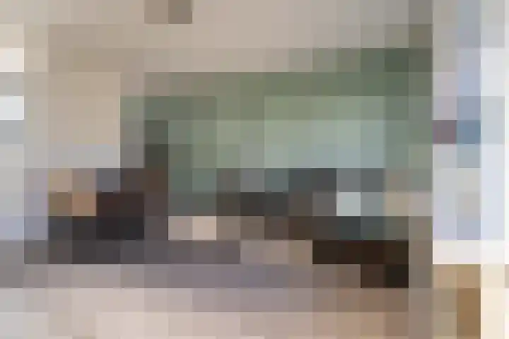 Barwoutswaarder 24 Woerden thumbnail 11
