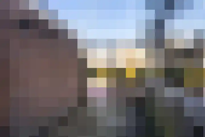 Barwoutswaarder 24 Woerden thumbnail 16