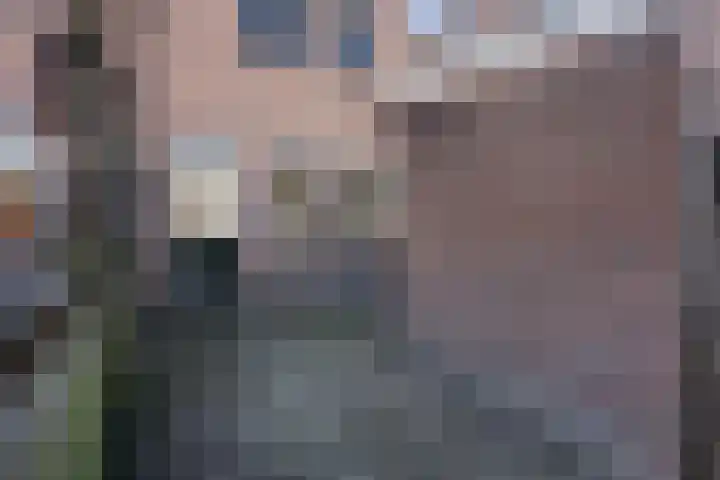 Barwoutswaarder 24 Woerden thumbnail 18
