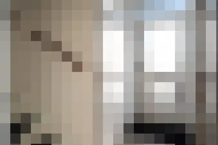 Barwoutswaarder 24 Woerden thumbnail 4