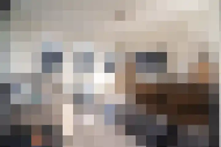 Barwoutswaarder 24 Woerden thumbnail 7