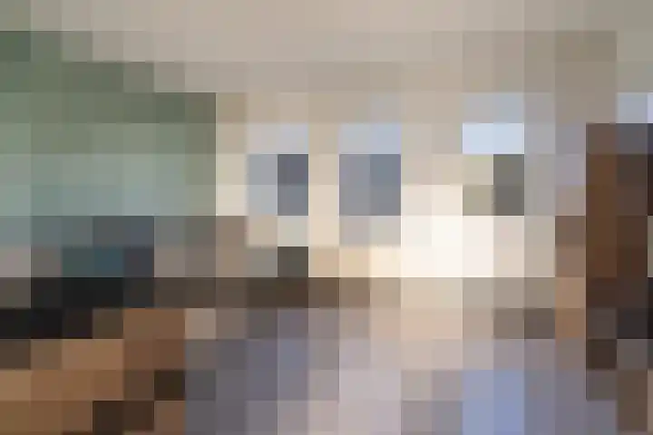 Barwoutswaarder 24 Woerden thumbnail 9