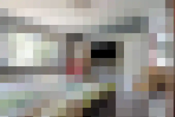 Barwoutswaarder 96 Woerden thumbnail 19