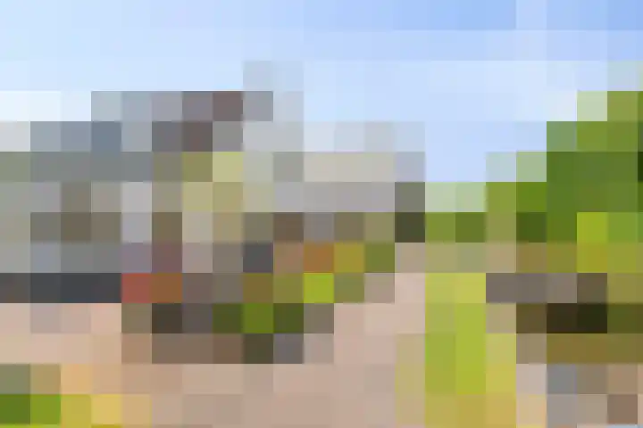 Barwoutswaarder 96 Woerden thumbnail 30