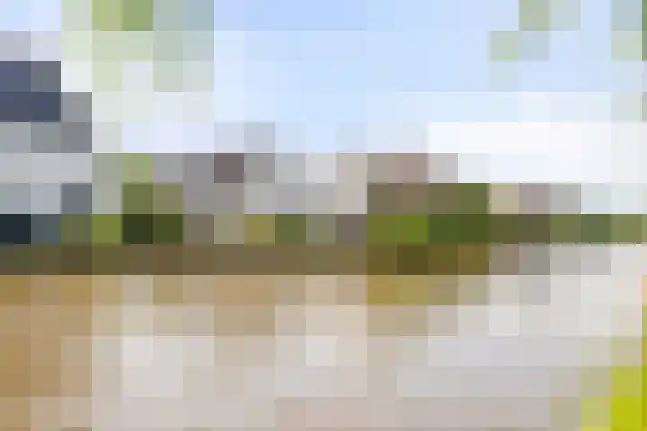 Barwoutswaarder 96 Woerden thumbnail 32