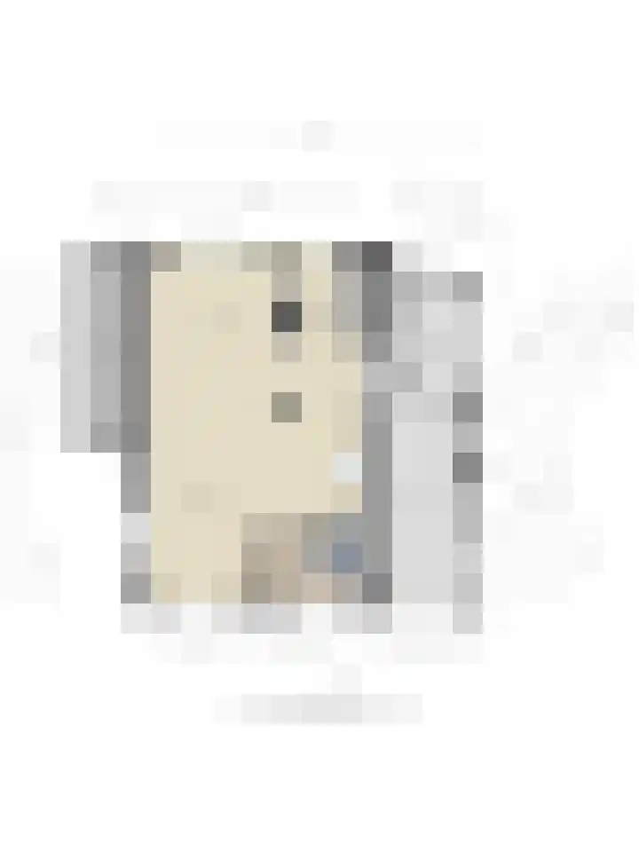 Barwoutswaarder 96 Woerden thumbnail 37
