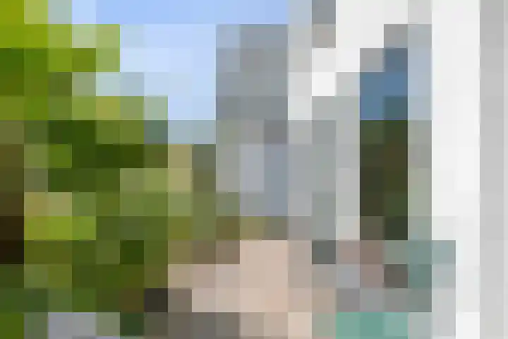 Barwoutswaarder 96 Woerden thumbnail 5