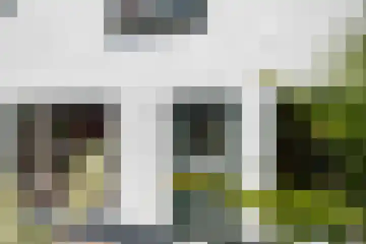 Barwoutswaarder 96 Woerden thumbnail 6