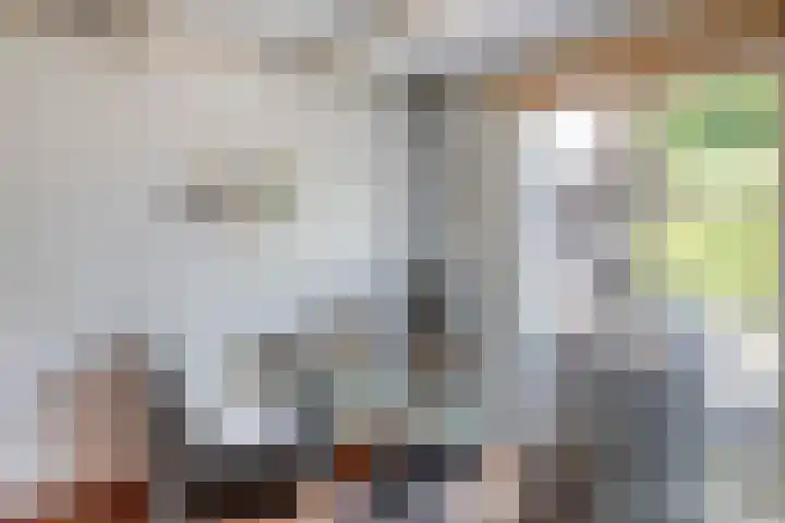 Barwoutswaarder 96 Woerden thumbnail 9