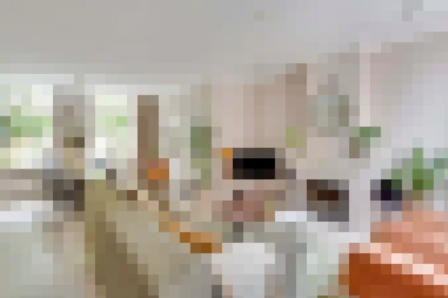 Bas Backerlaan 11 Elburg thumbnail 15