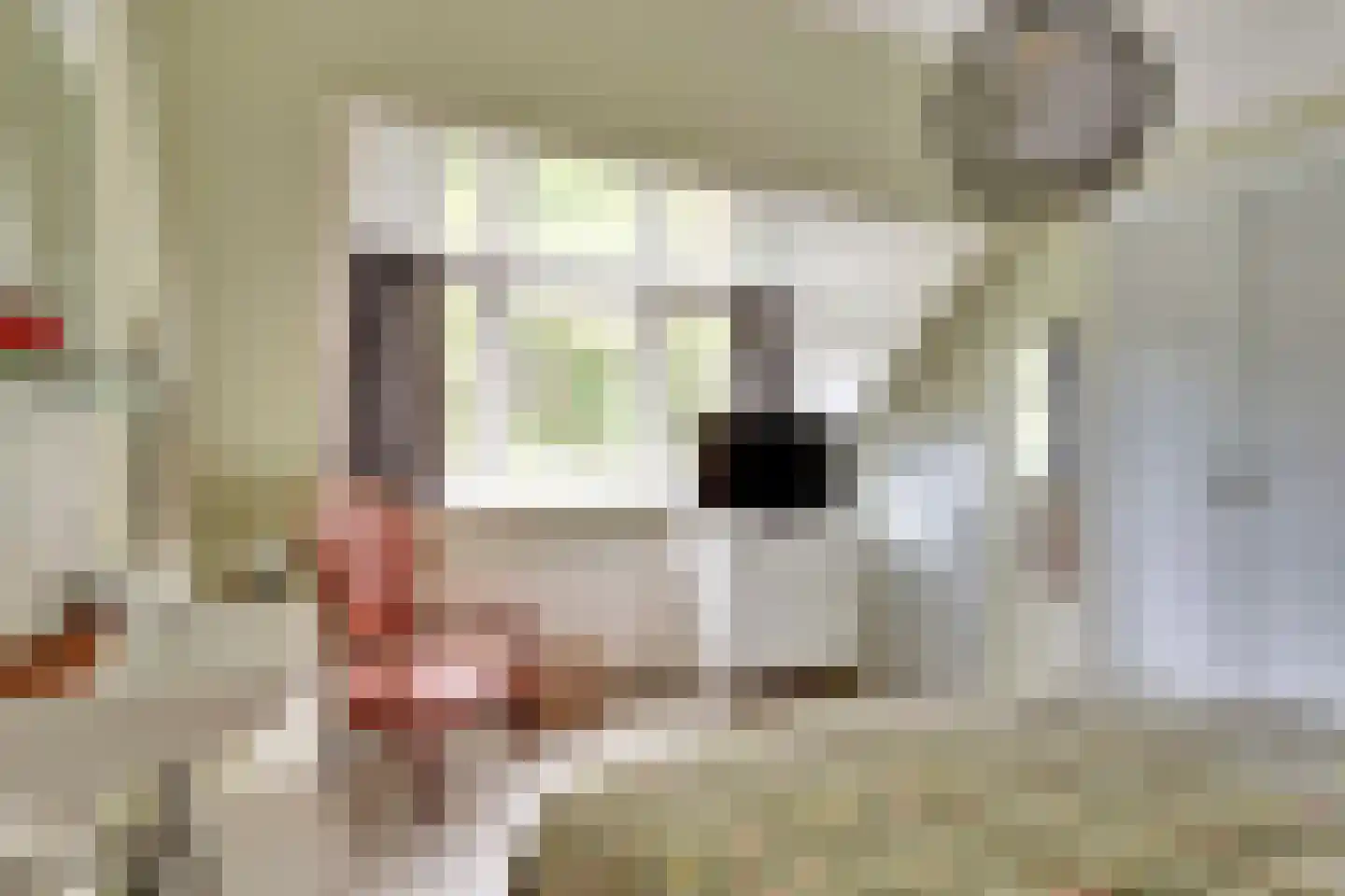 Bas Backerlaan 11 Elburg thumbnail 38
