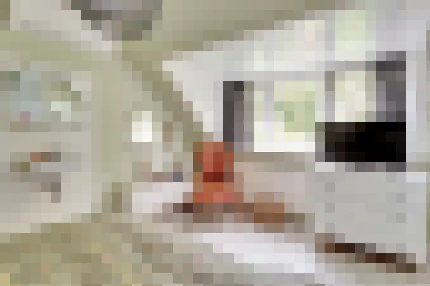 Bas Backerlaan 11 Elburg thumbnail 39