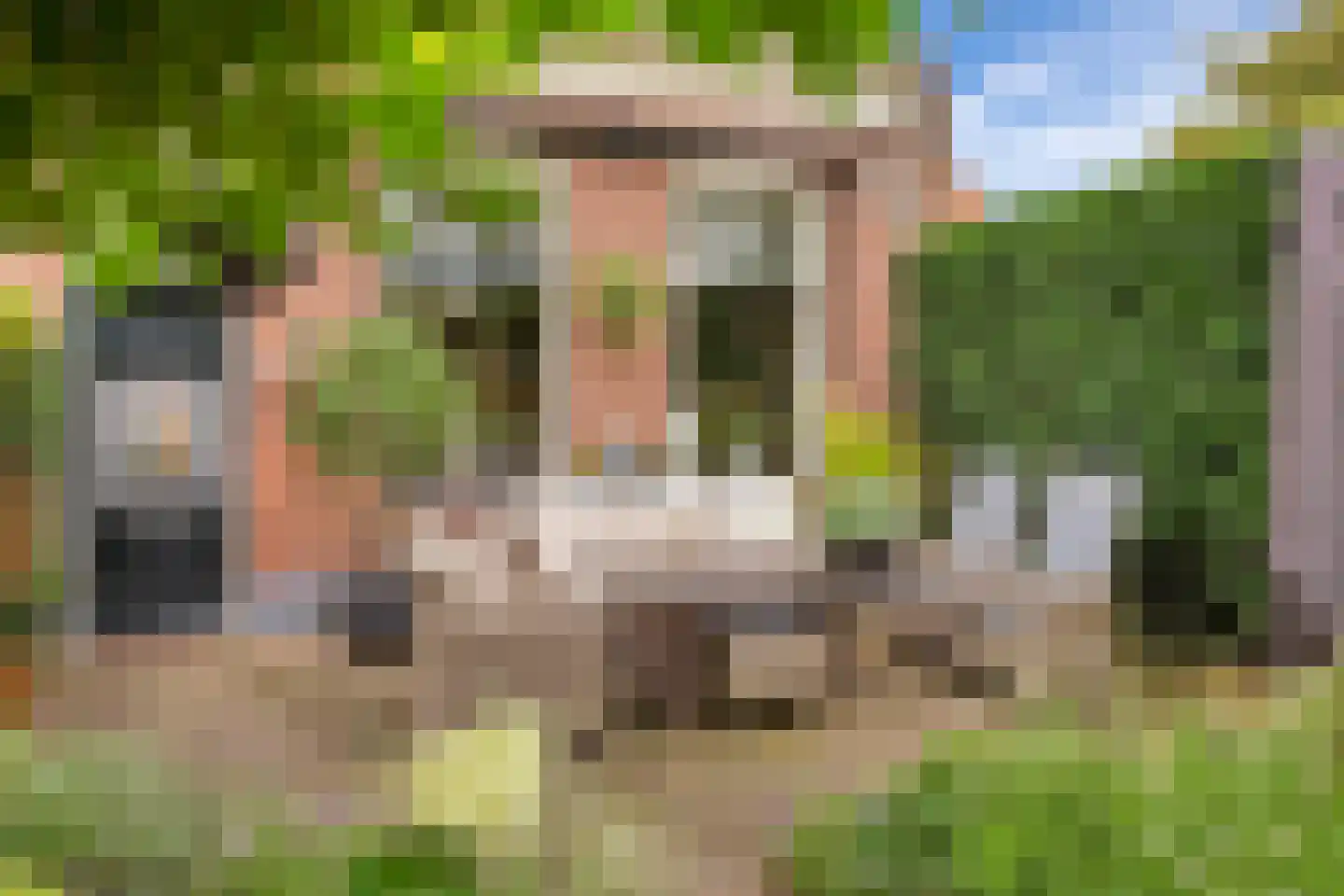 Bas Backerlaan 11 Elburg thumbnail 47