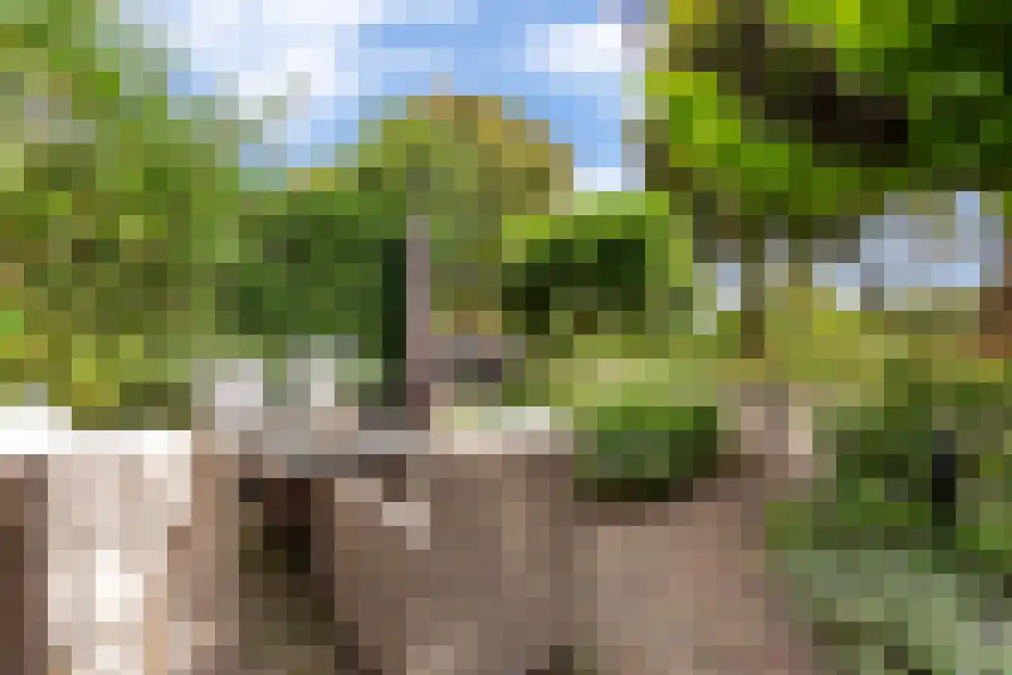 Bas Backerlaan 11 Elburg thumbnail 48