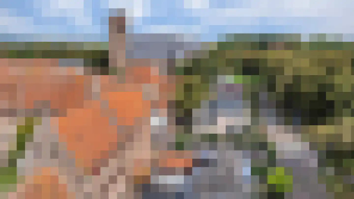 Bas Backerlaan 11 Elburg thumbnail 56