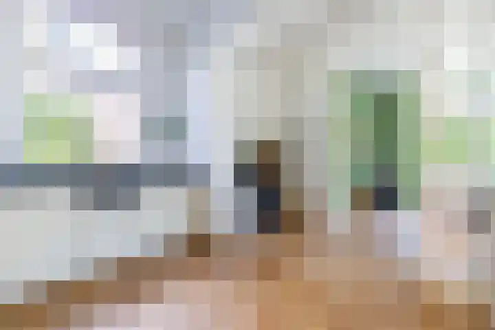 Bas Backerlaan 4 Apeldoorn thumbnail 14